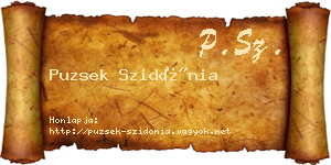 Puzsek Szidónia névjegykártya